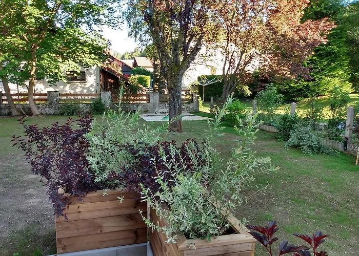 Les Eglantines Rez-de-jardin アパート *